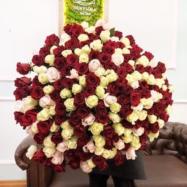 Букет 201 роза высотой 100см микс (Америка)