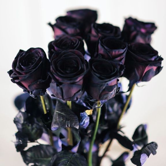 Букет 10 черных роз