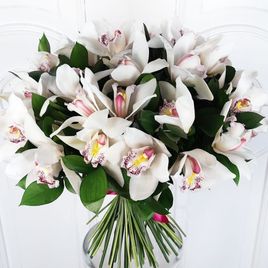 Букет 35 белых орхидей с зеленью