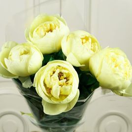 Букет 5 желтых пионов (lemon chiffon)