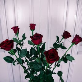 Букет 7 красных роз высотой 130см