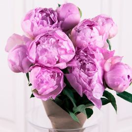 Букет 9 крупных пионов (фуксия) в крафт бумаге