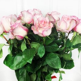 Букет 21 розовая роза с огромным бутоном «Boulevard»