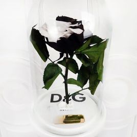 Брендированные розы в колбе (под заказ)