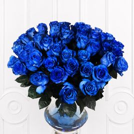 Букет 51 синяя роза 60см (Эквадор)