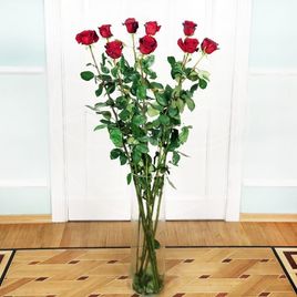 Букет 9 красных роз высотой 160см