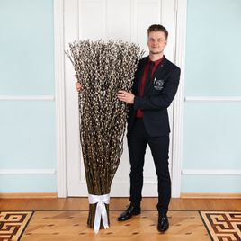 Букет из 201 ветки импортной вербы 160-170 см