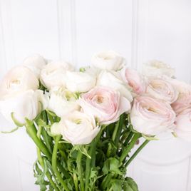 Белые ранункулюсы (поштучно)