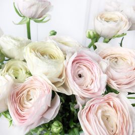 Белые ранункулюсы (поштучно)