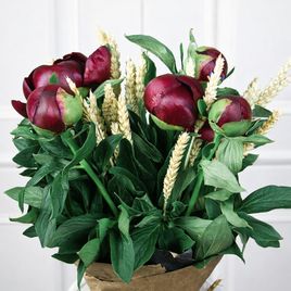 Букет 5 маленьких красных пионов с рожью