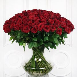 Букет 101 красная роза 60-70см (Эквадор)