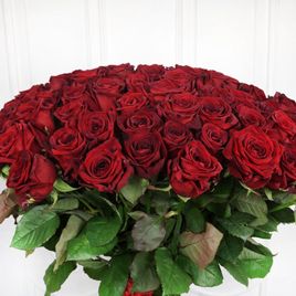 Букет 101 красная роза 60-70см (Эквадор)