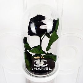 Брендированные розы в колбе (под заказ)