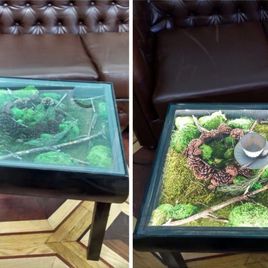 Журнальный столик «лес» с мхом, шишкам и подсветкой 55×55см