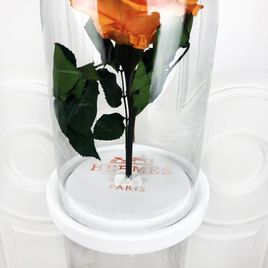 Брендированные розы в колбе (под заказ)