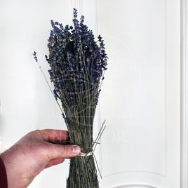 Лаванда сухая импортная (25-30см)