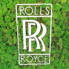 Картина из стабилизированного мха с логотипом Rolls-Royce St. Petersburg