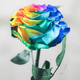 Роза радужная в колбе с ароматом (Premium)