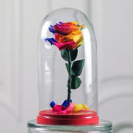 Роза радужная в колбе с ароматом (Premium)
