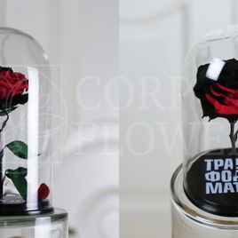 Корпоративные розы в колбе (цвет на выбор)