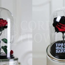 Корпоративные розы в колбе (цвет на выбор)
