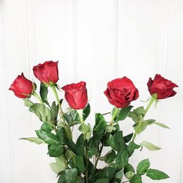 Букет 5 красных роз высотой 110см