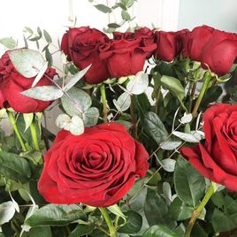 Букет 25 красных роз высотой 150см с гигантским эвкалиптом