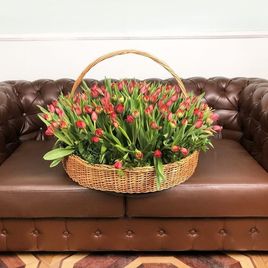Огромная корзина цветов 201 тюльпан 75×75см