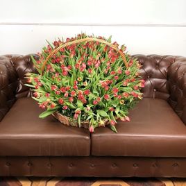 Огромная корзина цветов 201 тюльпан 75×75см