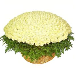Большая корзина цветов 501 белая роза РФ