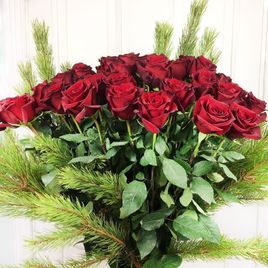 Букет 51 красная роза высотой 100см с ветками сосны