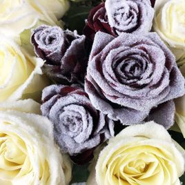 Букет 65 снежных роз микс