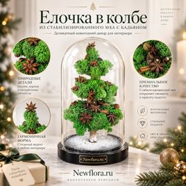 Елочка в колбе из стабилизированного мха с бадьяном