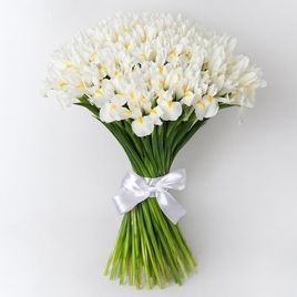 Букет 51 белый ирис