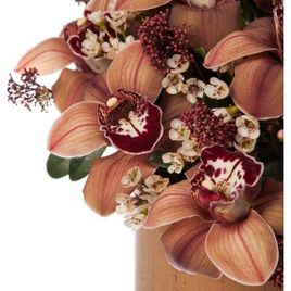 Шляпная коробка с коричневыми орхидеями (Premium)