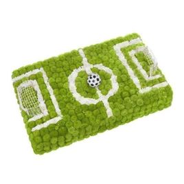 Футбольное поле из живых цветов 50×30см