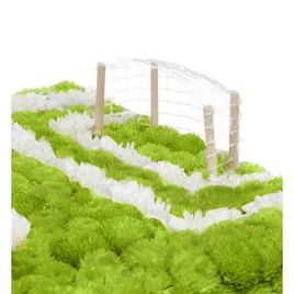 Футбольное поле из живых цветов 50×30см