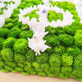 Футбольное поле из живых цветов 50×30см