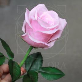 Розы керамические розовые из полимерной глины