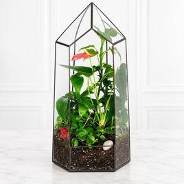 Флорариум с антуриумом 40×20 см