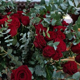 Букет 69 красных роз высотой 130 см с гигантским эвкалиптом (Эквадор)