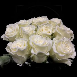 Сахарные розы сорт Apple Dhuez