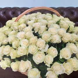 Корзина 151 белая роза