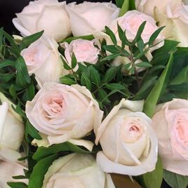 Букет 19 пионовидных роз с эвкалиптом и зеленью