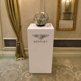 Флорариум «марсианский» с суккулентами  (для Bentley Motors St.P)