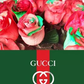 Букет 25 красно-зелёных роз в цвет Гуччи (Gucci Roses)