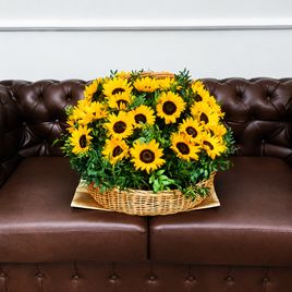 Корзина цветов 51 подсолнух с фисташкой