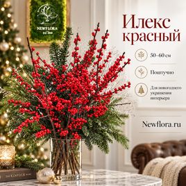 Илекс красный 50-60 см (поштучно)