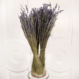 Лаванда сухоцвет 35см, Голландия