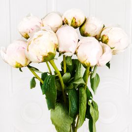 Букет 9 крупных белых пионов